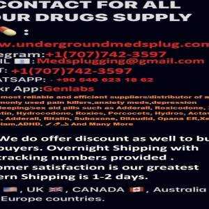 Buy Oxycodone on the web